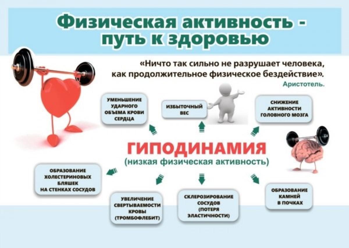 Физическая активность - путь к здоровью.jpg